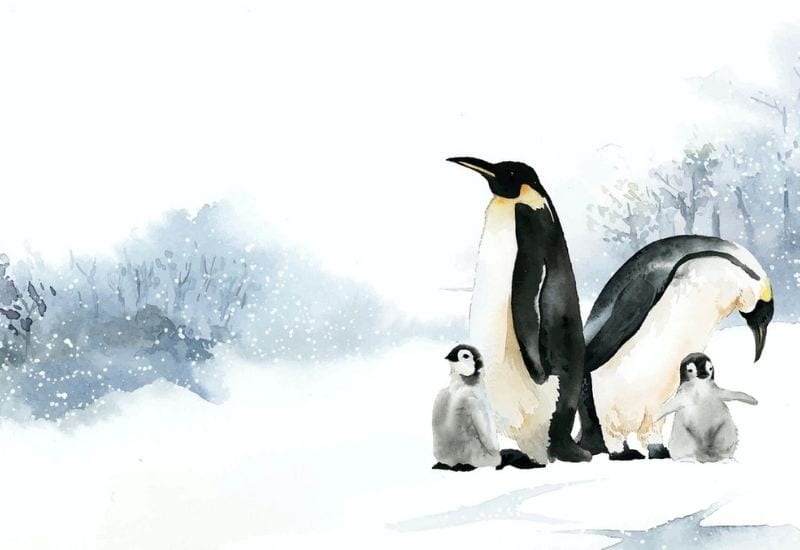 famiglia di pinguini