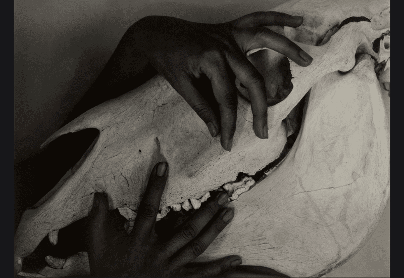 Georgia O’Keeffe – Hands and Horse Skull (1931) by Alfred Stieglitz. Original from The Art Institute of Chicago. Digitally enhanced by rawpixel.